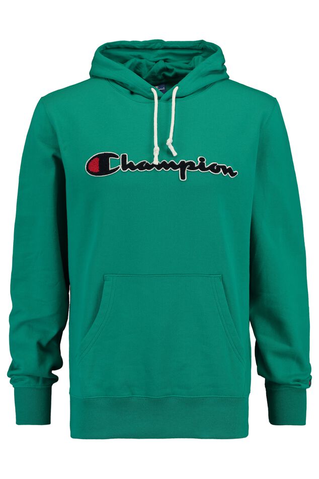 Hoodie Logo Hoodie image number 0