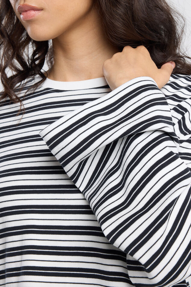 Lilly image number 3