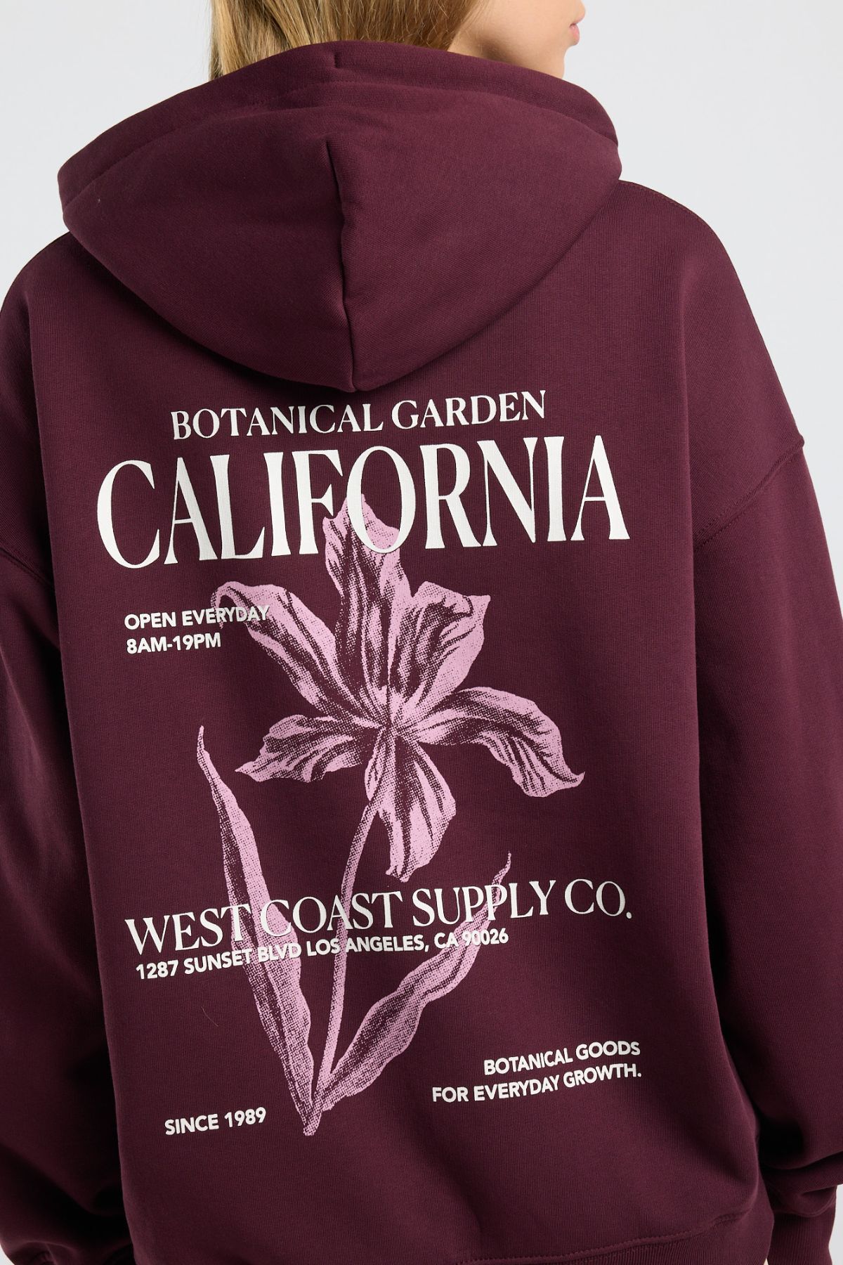 Safira image number 3