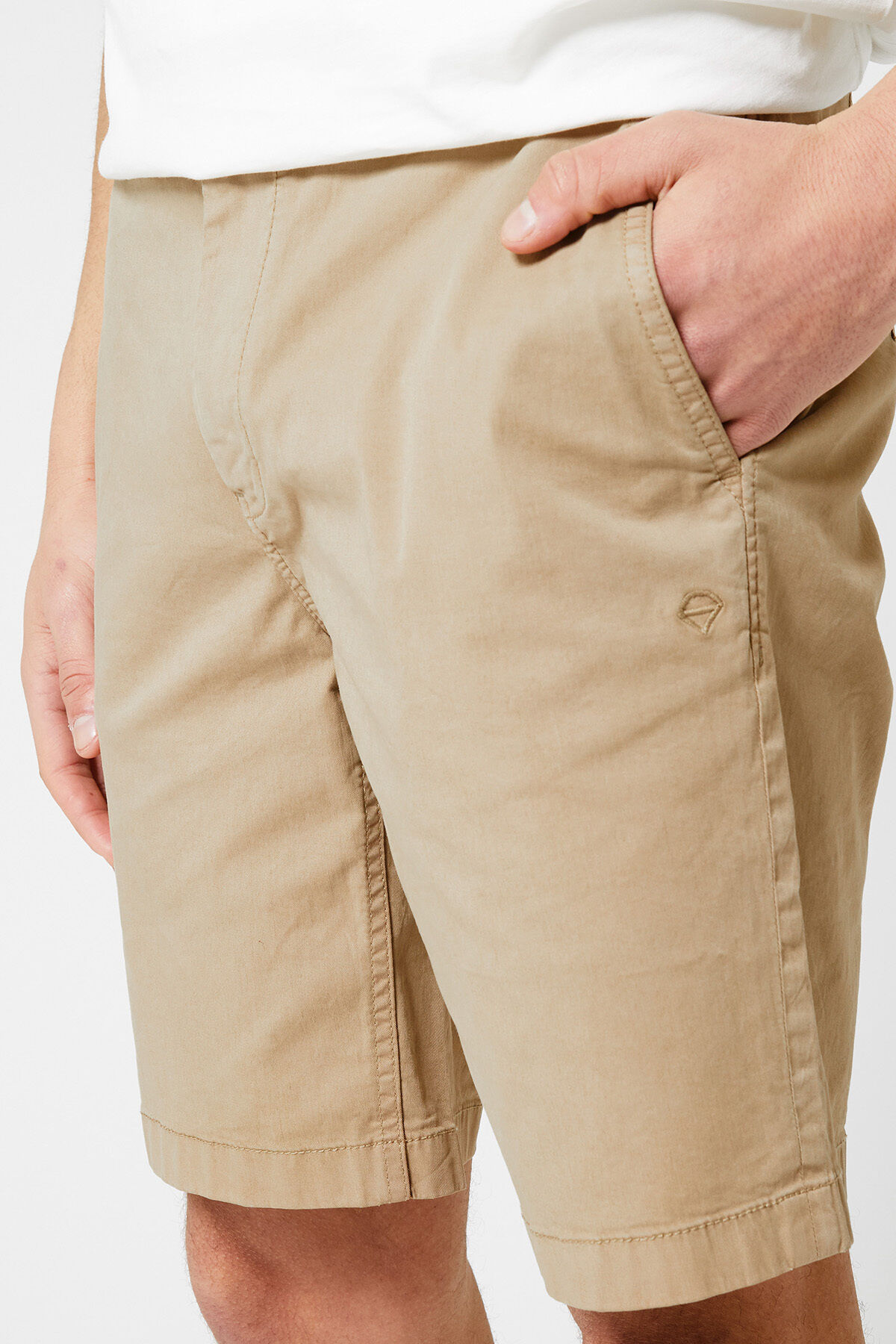 Short Stefan image number 3