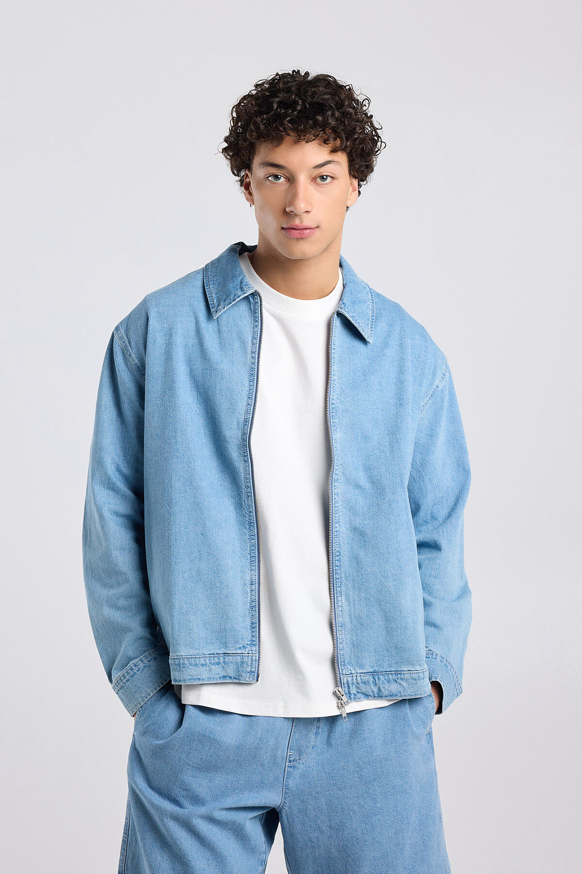 Bruno image number 0