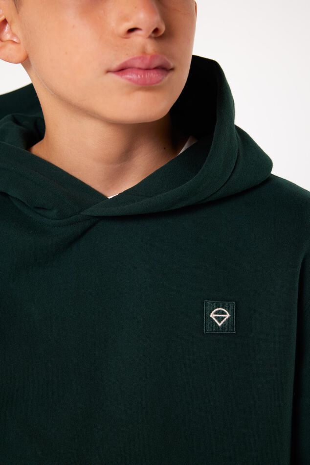 Hoodie Sanford Hood JR image number 3