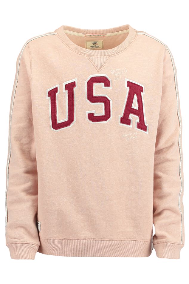 Sweat Sage  image number 0