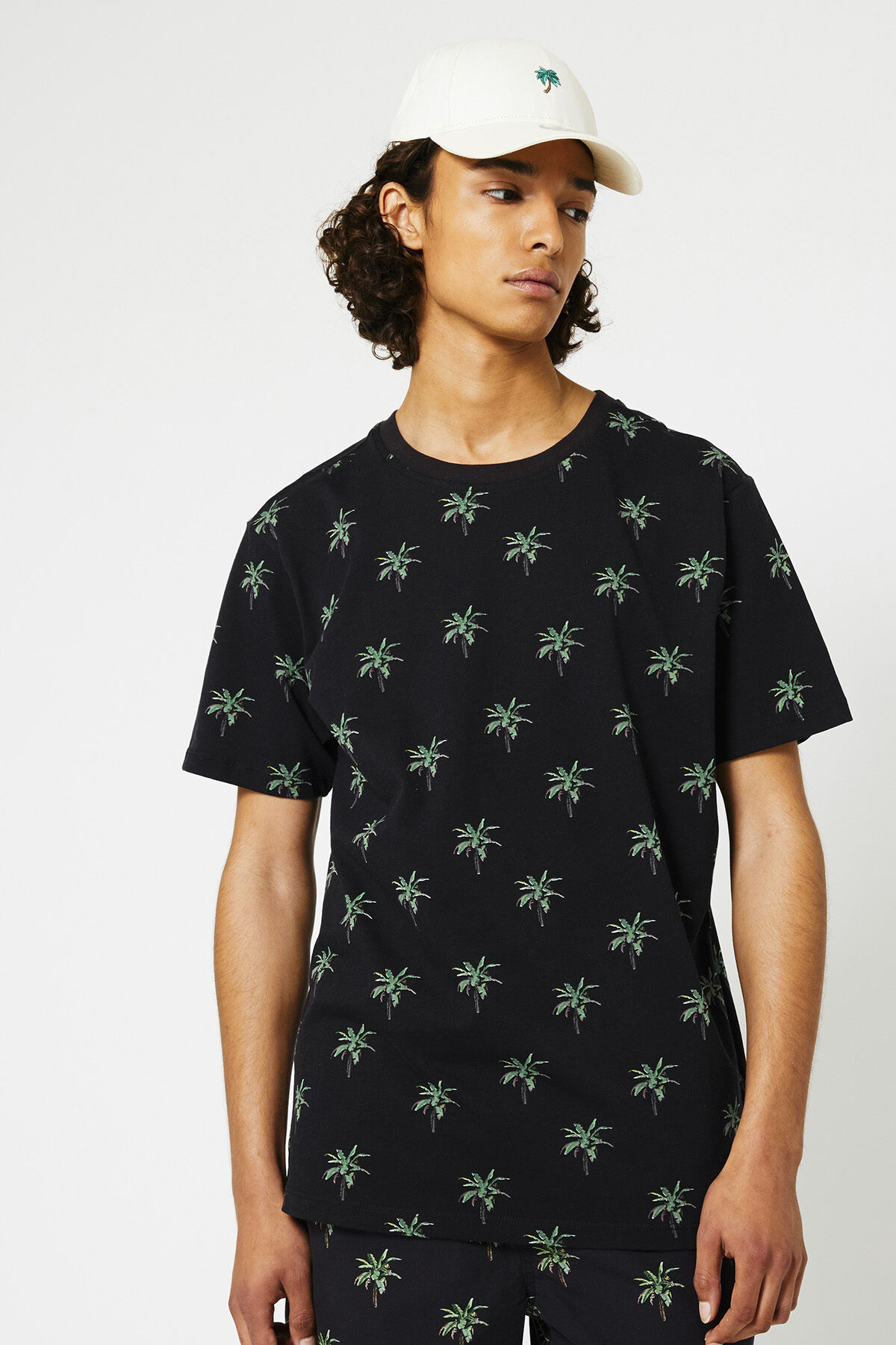 Elias Palm image number 1