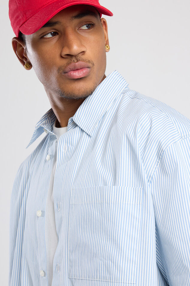 Irv image number 3