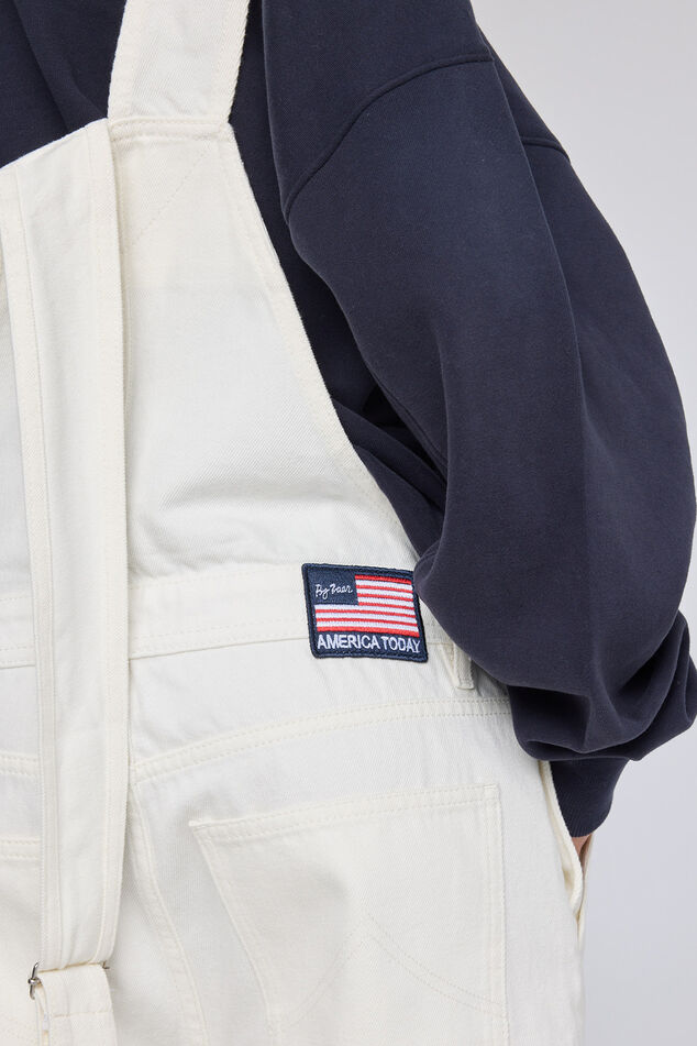 Detroit ZG image number 3