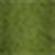 Moss Moss