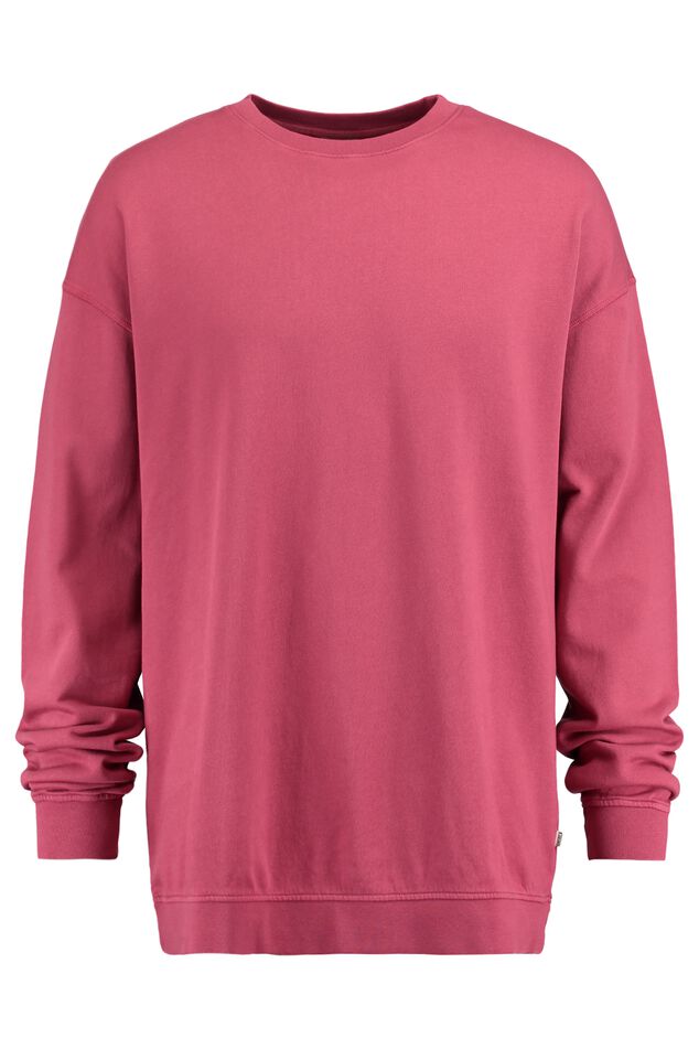 Sweat Solomon image number 0