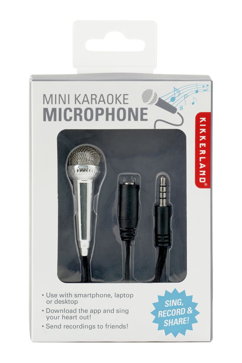 Gift Mini karaoke microphone