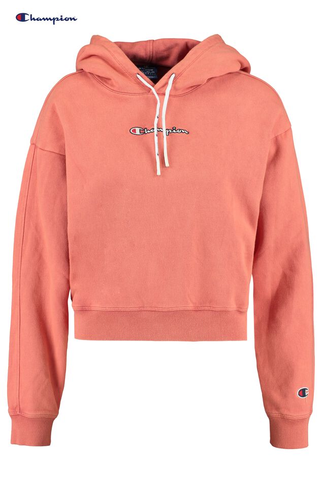 Hoodie Hoodie clean small Logo image number 0