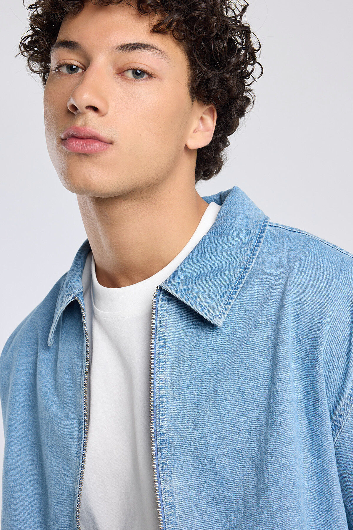 Bruno image number 3