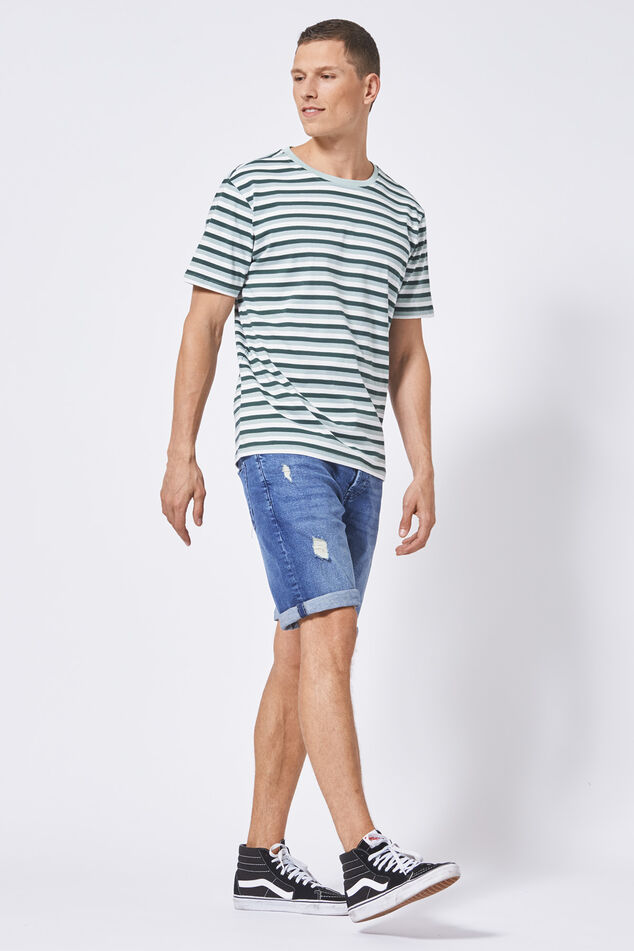 Elgin stripe image number 1