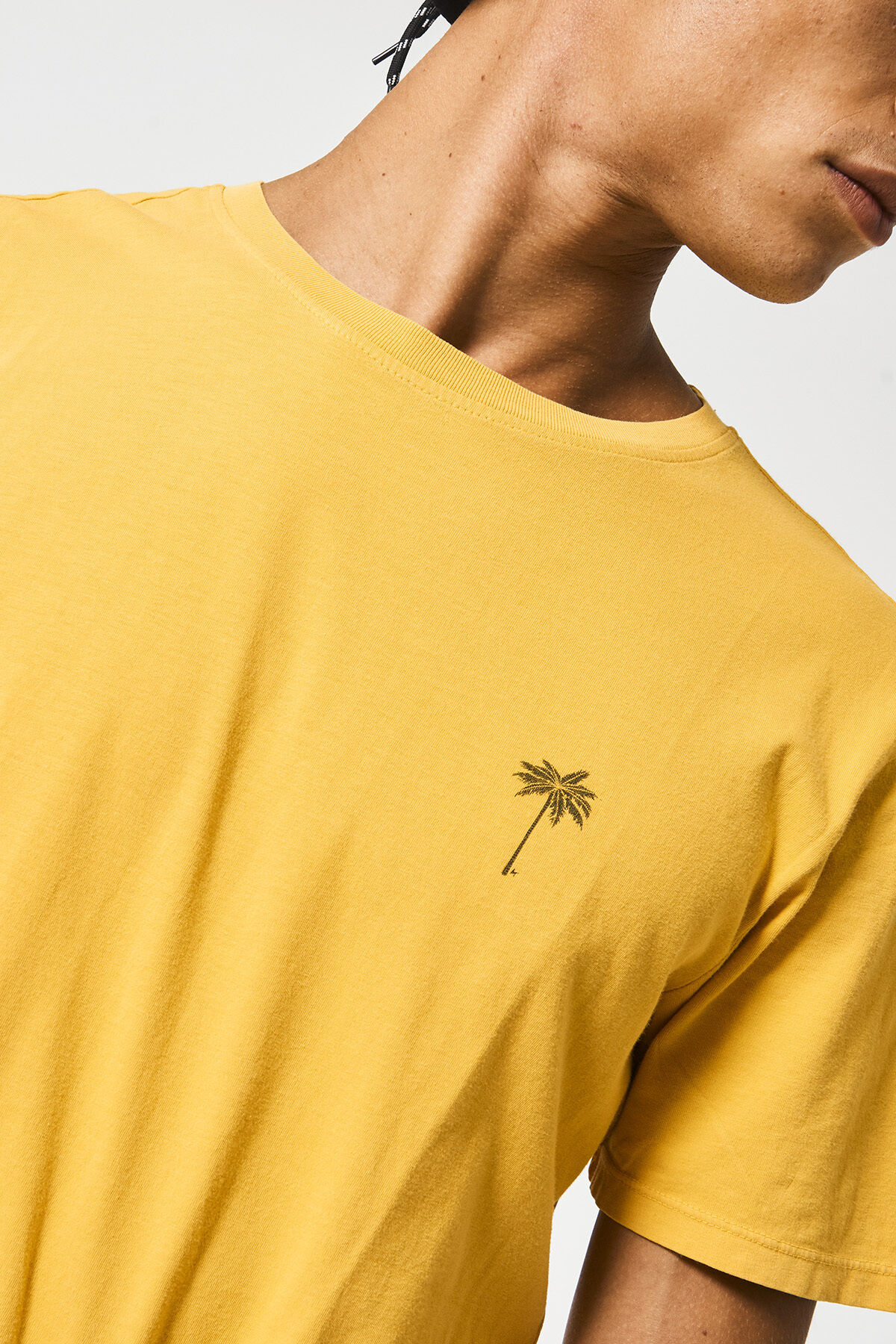 T-shirt Ethan palmtree image number 3