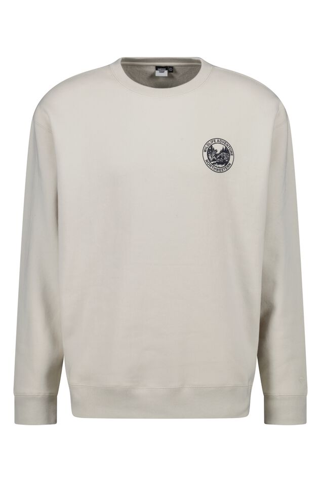 Sweater Stenton Crew image number 4