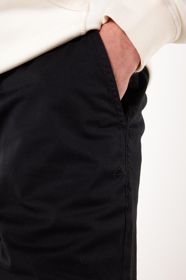 Short Stefan image number 3