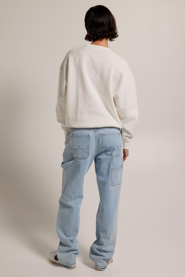 Raleigh image number 2