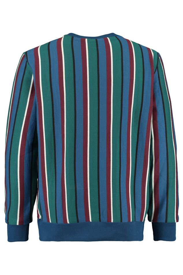 Sweater Sutton stripe image number 5