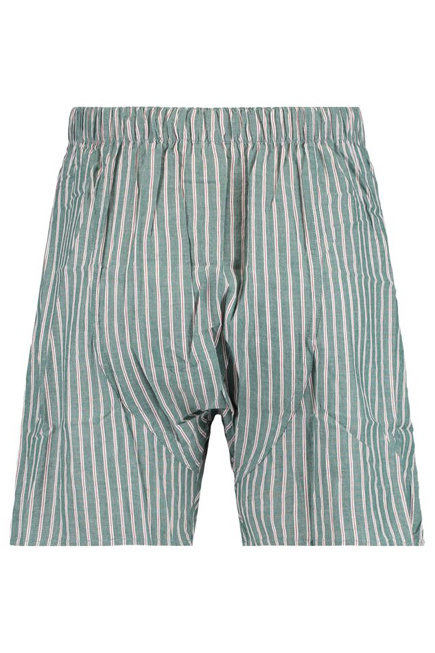 Boxershort Thomas P image number 4