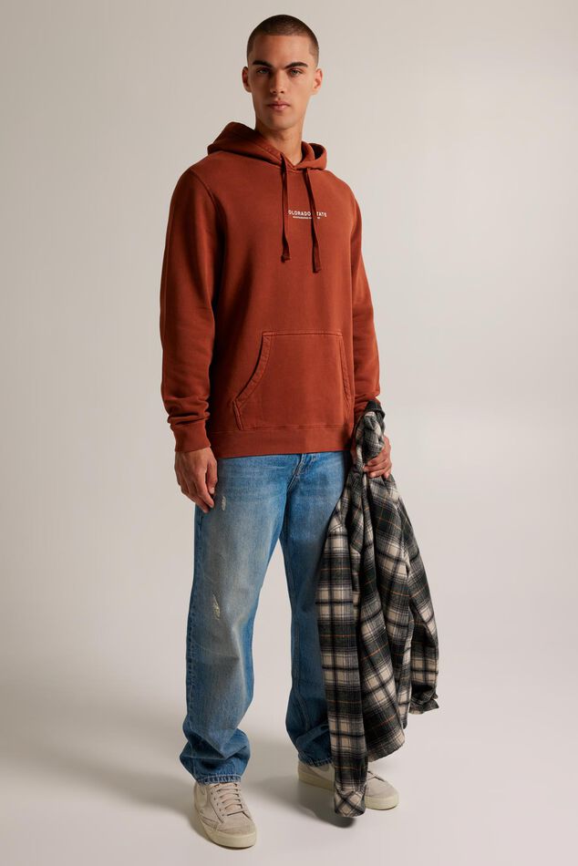 Hoodie Stone Hood image number 1