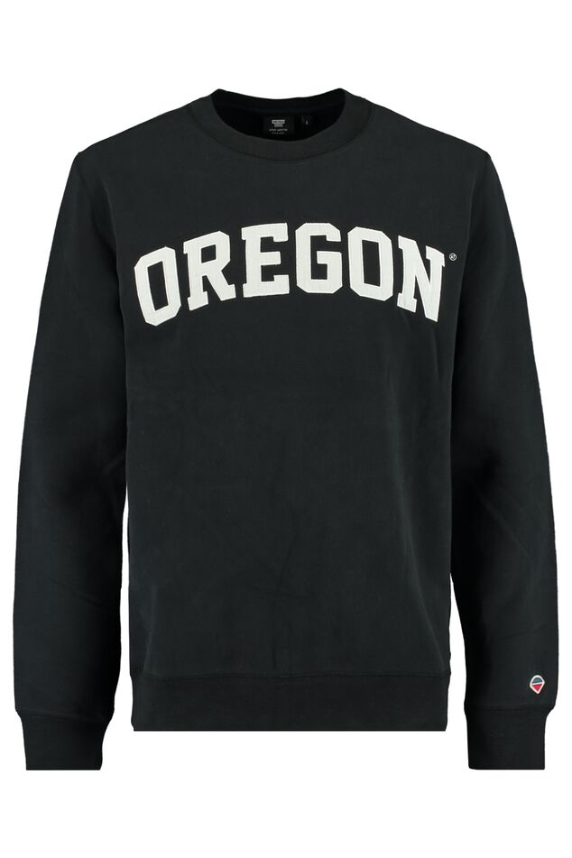 Sweater Sage Oregon image number 0