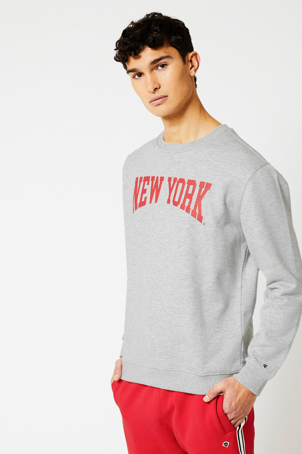 Sweater Scottie crew image number 1