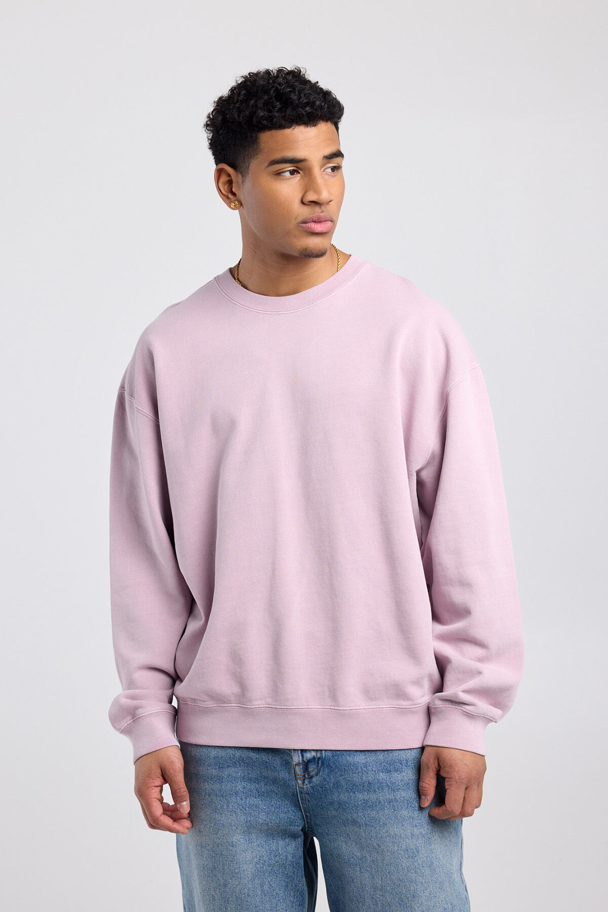 Shane Crew image number 0