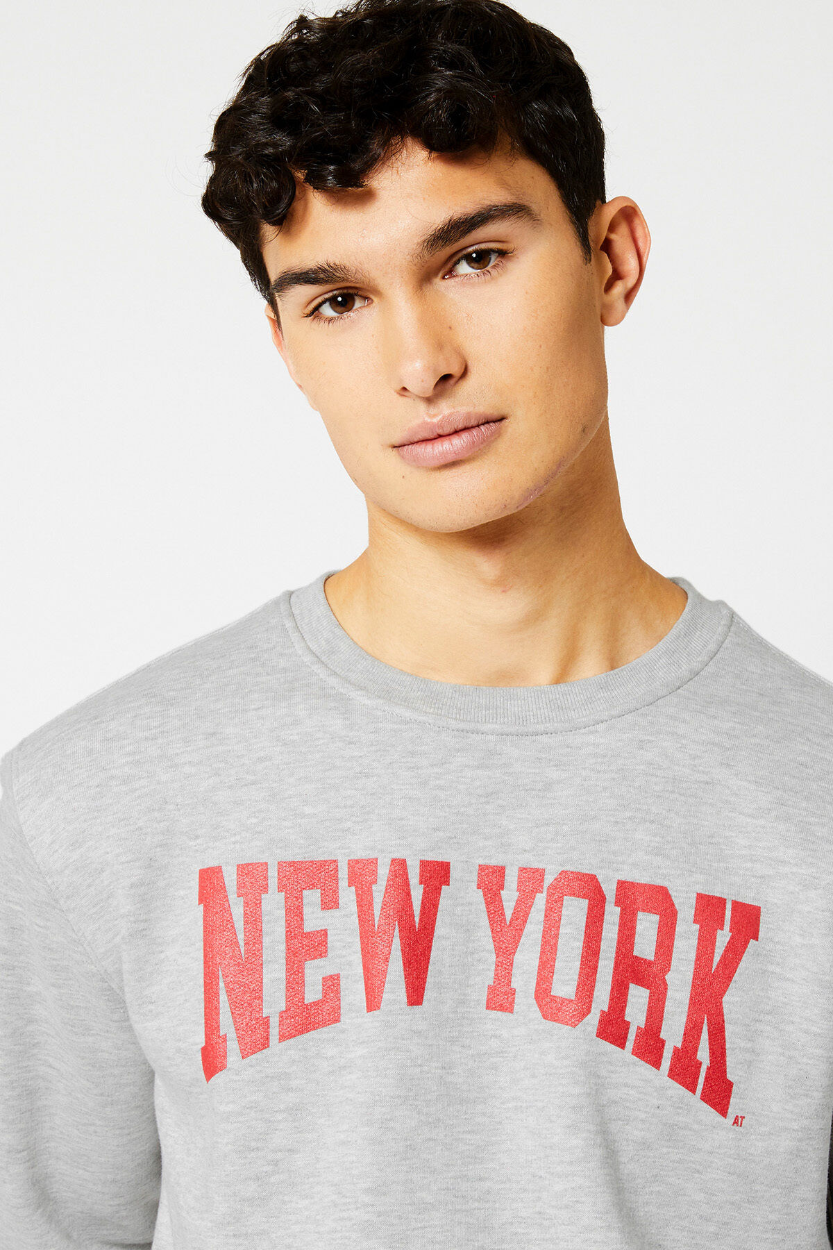 Sweater Scottie crew image number 3