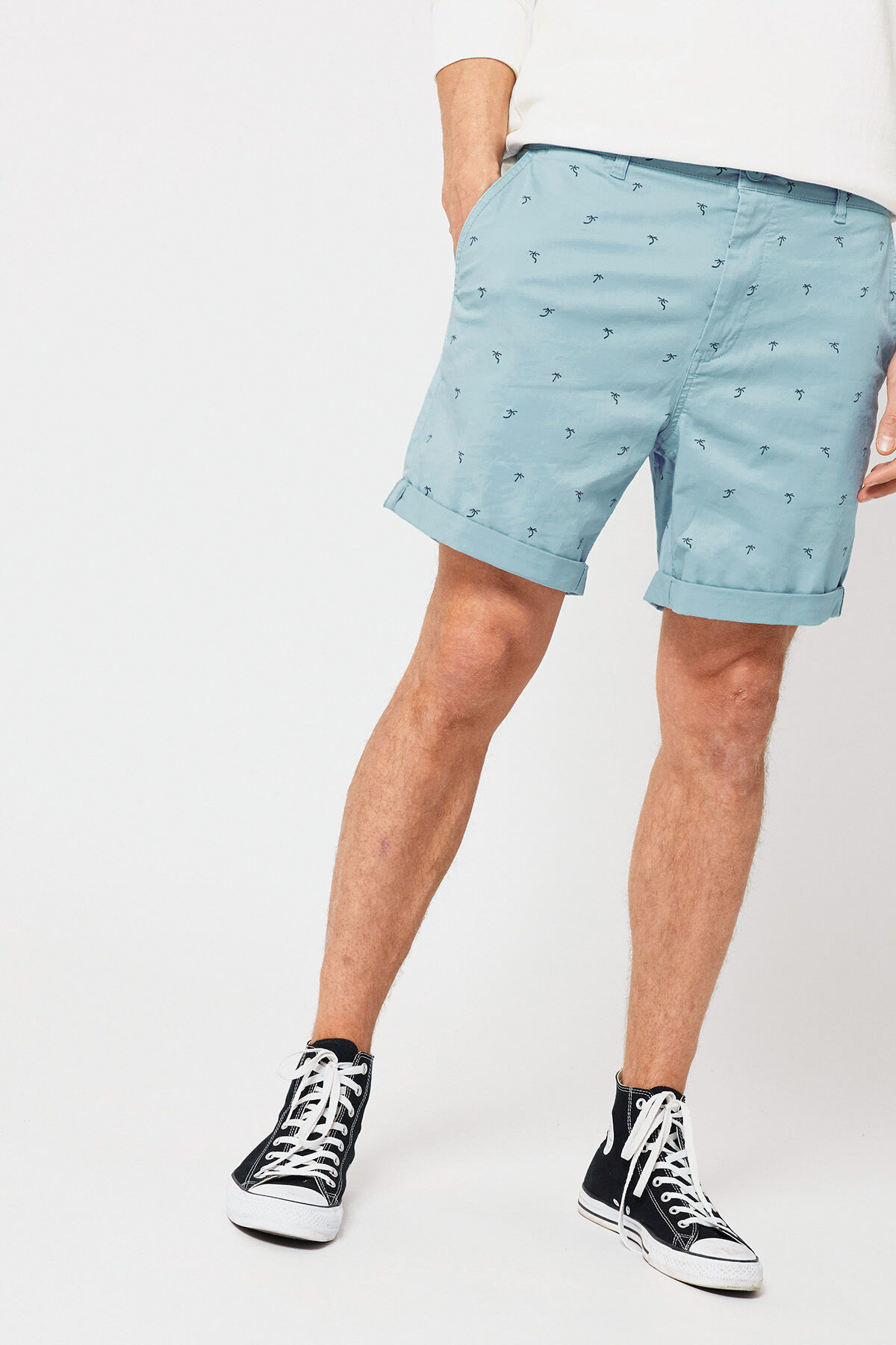 Short Stefan image number 1