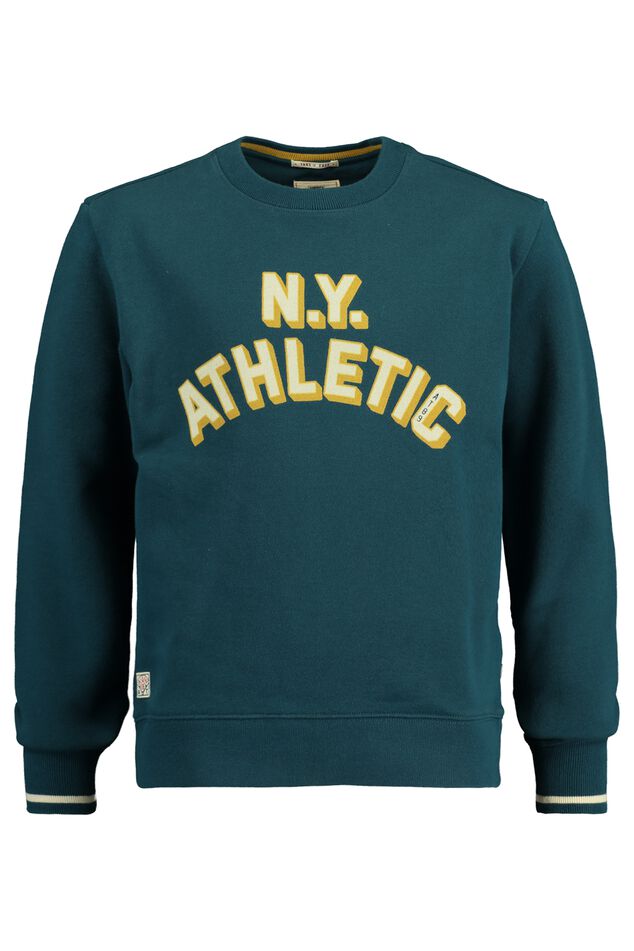 Sweater Sainty jr image number 4