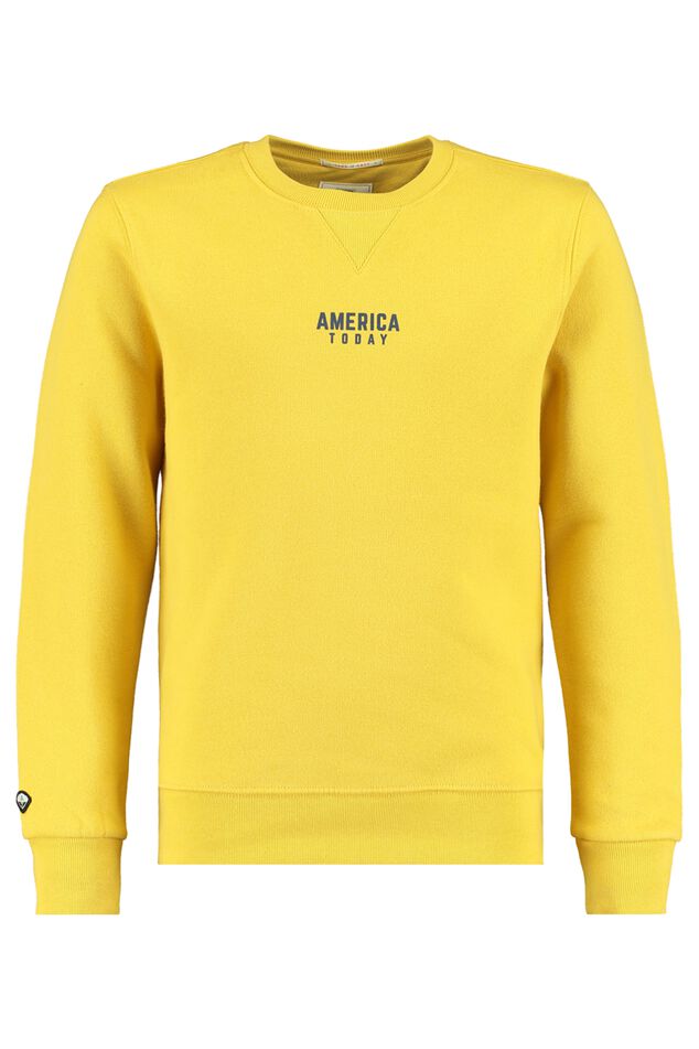 Sweater Scott Jr image number 0