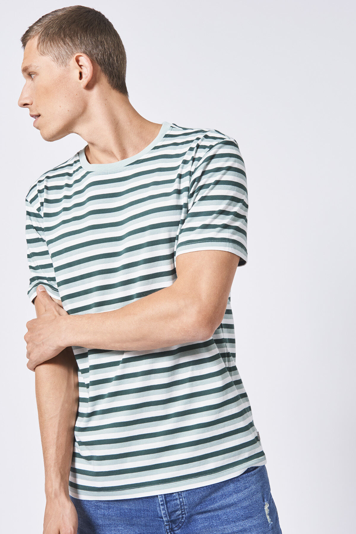 Elgin stripe image number 0