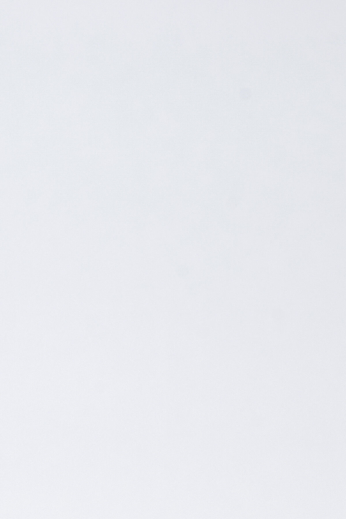 Sweat short Sawyer towelling image number 2