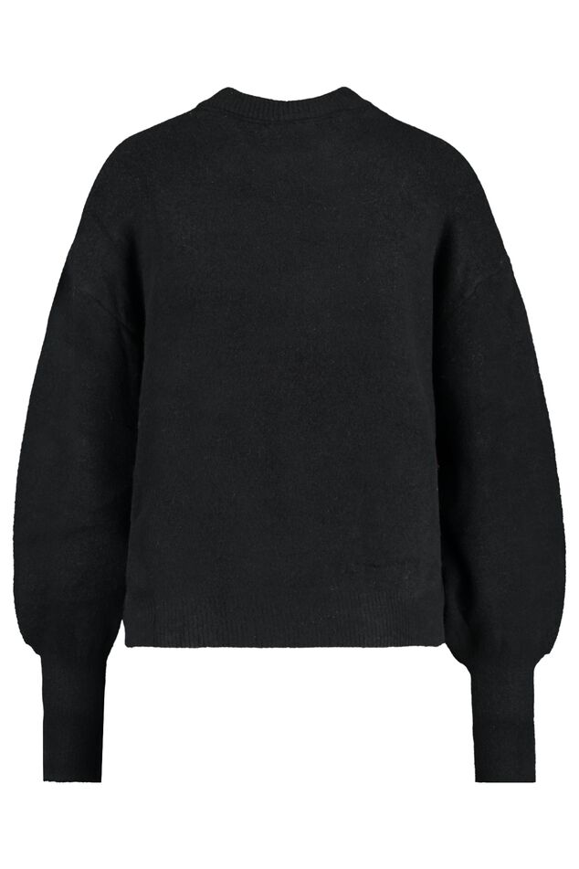 Trui Kassidy image number 1