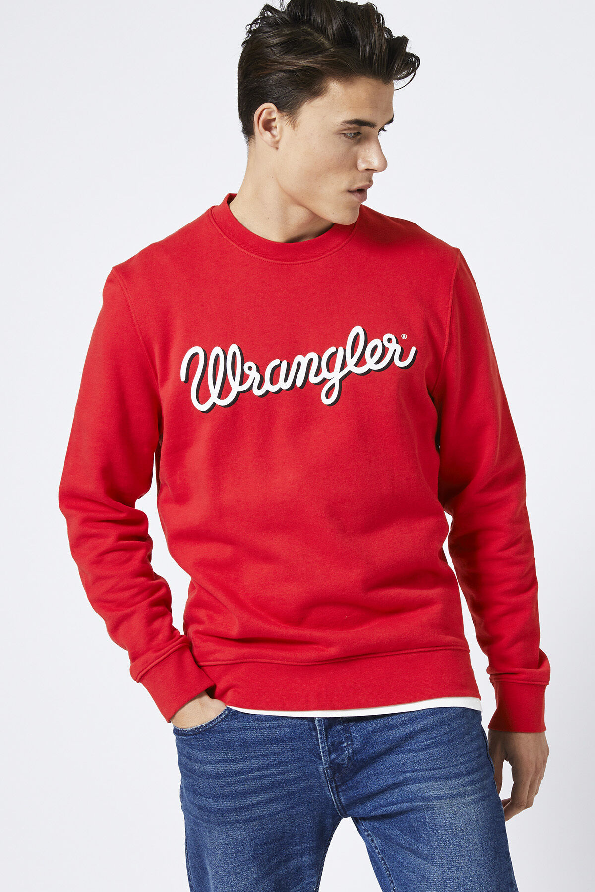 Sweater Regular crew sweat image number 0