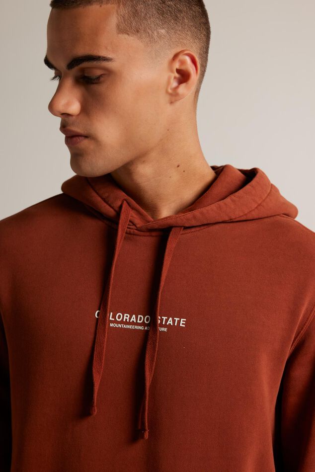 Hoodie Stone Hood image number 3