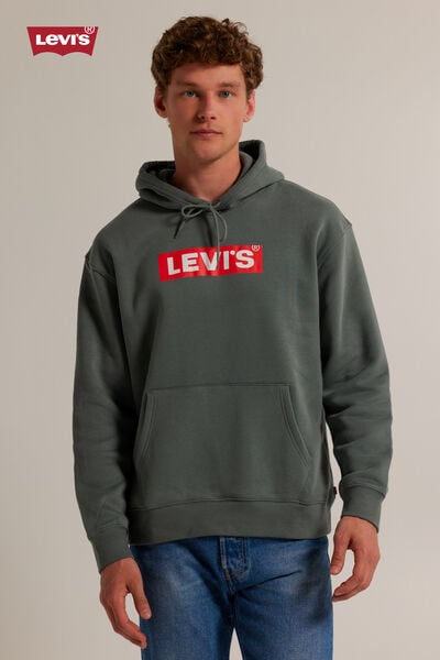 Levi's Hoodie Relaxed graphic hoodie