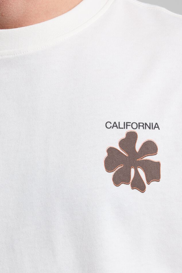 Erwyn image number 3