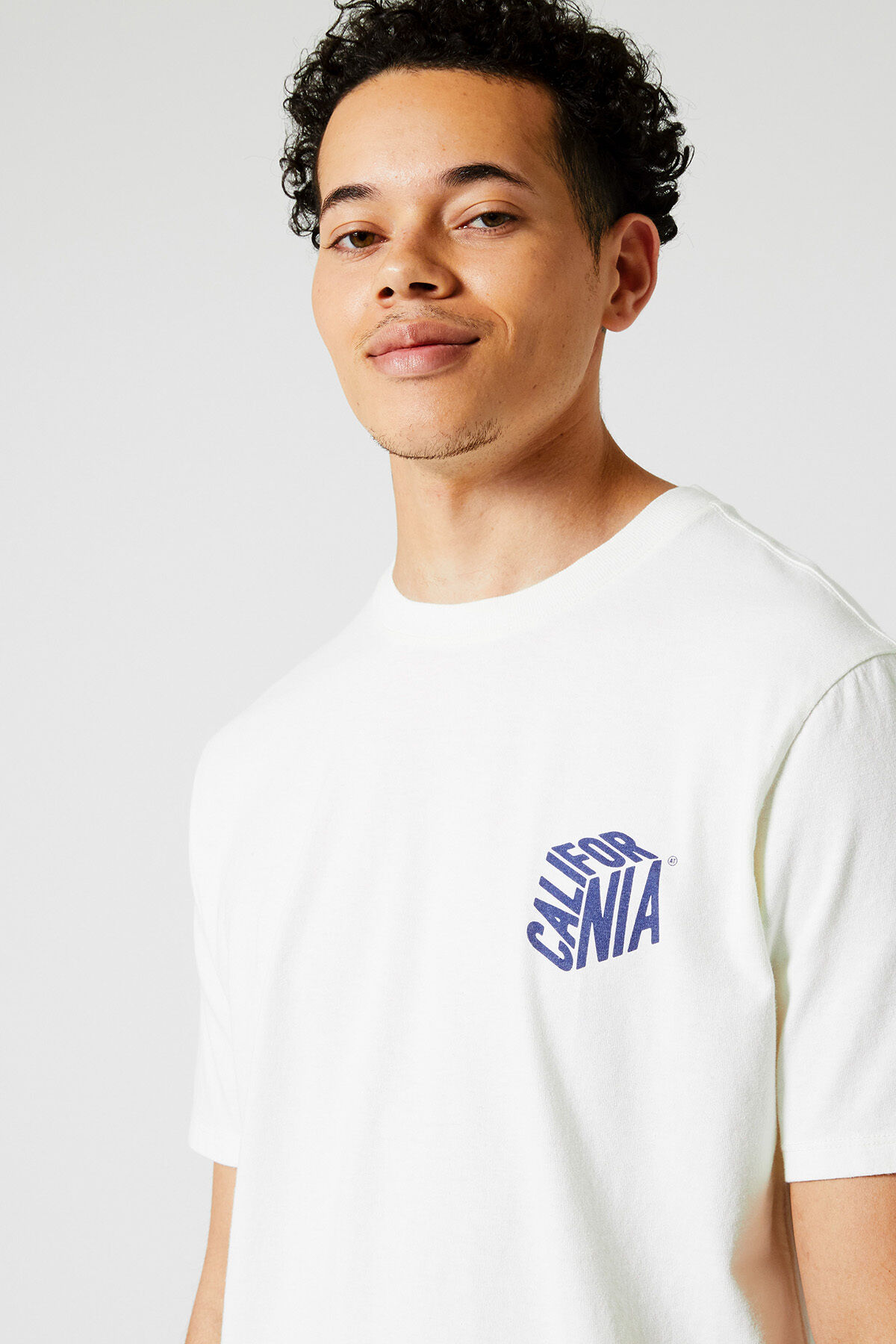 Eagle image number 3