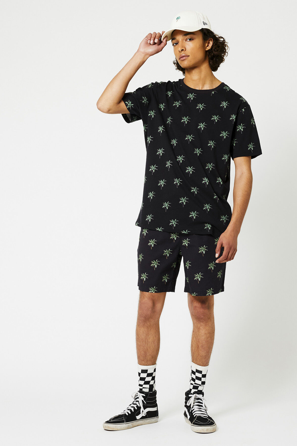 Elias Palm image number 0