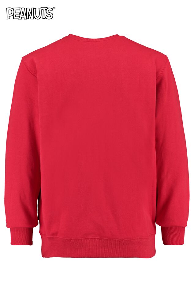 Sweater Sterling flip image number 5