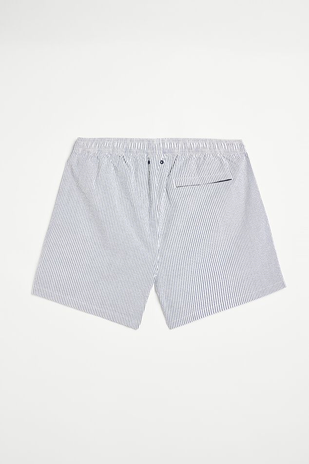 Swim trunks Andrew Stripe image number 5
