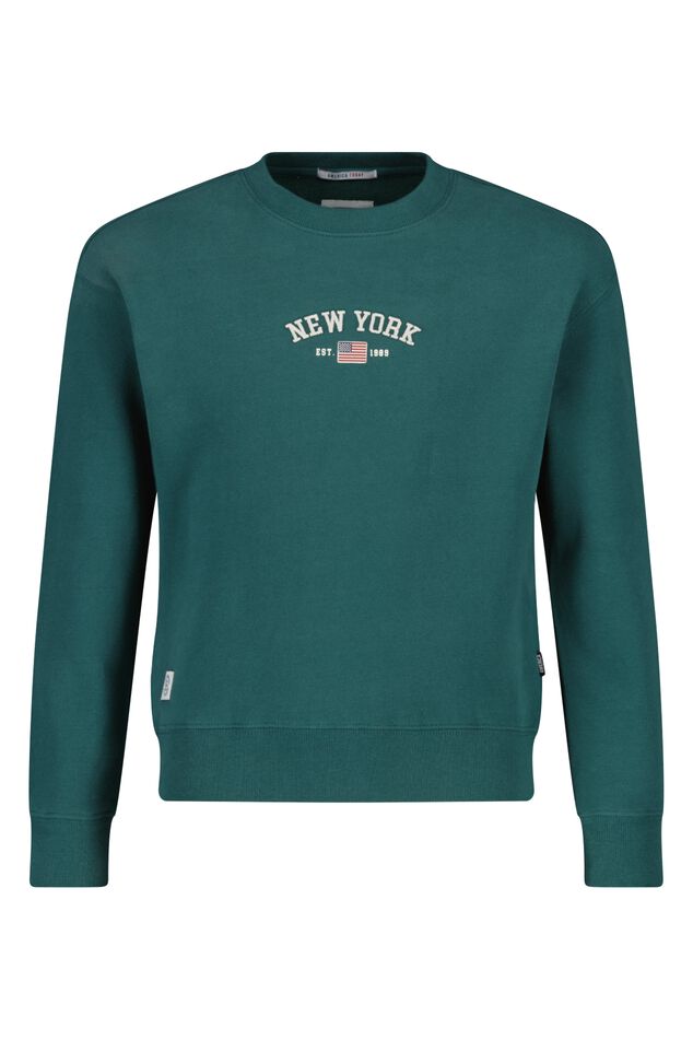 Sweater Scottie JR image number 4