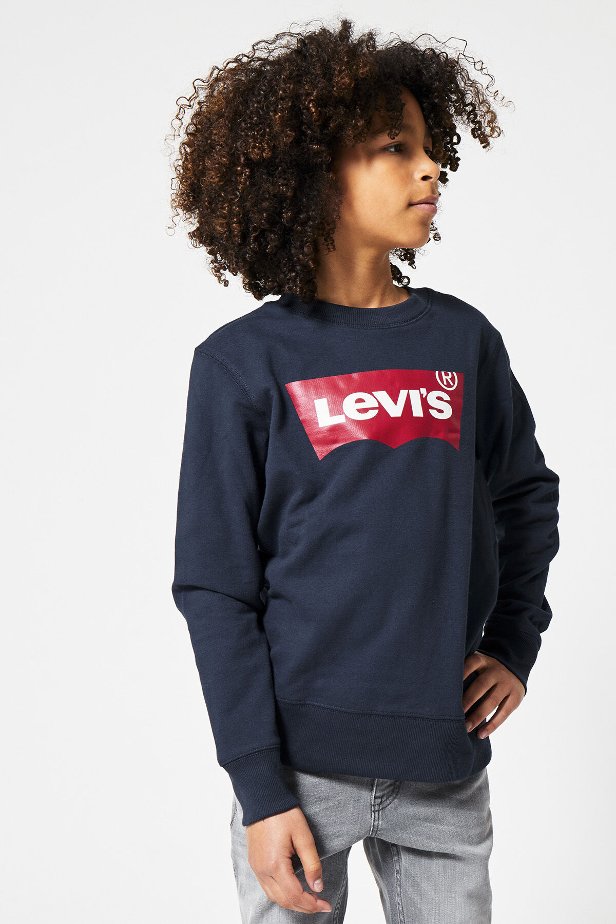 Levi's sweaters outlet
