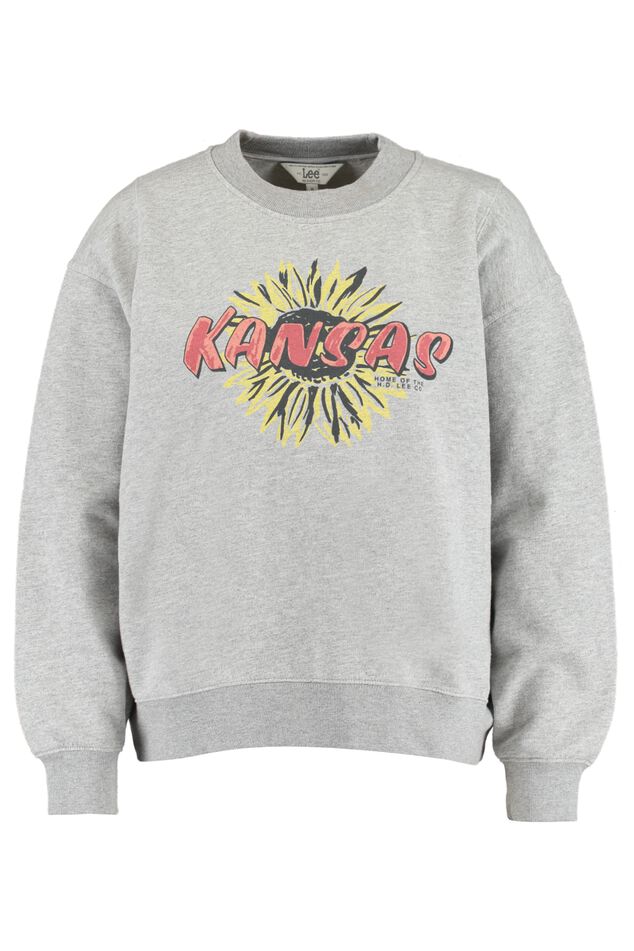 Sweater Cut and Sew Raglan Sweat image number 4