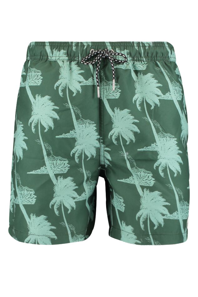 Swimming trunks Arizona AOP image number 4