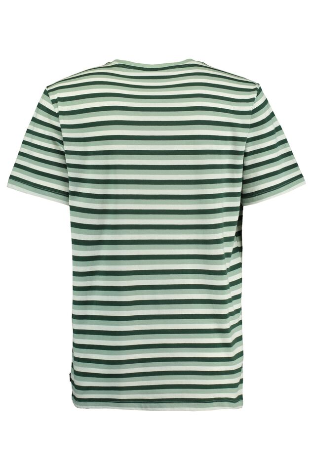 Elgin stripe image number 5