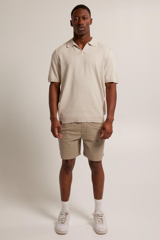 Short Newton image number 1