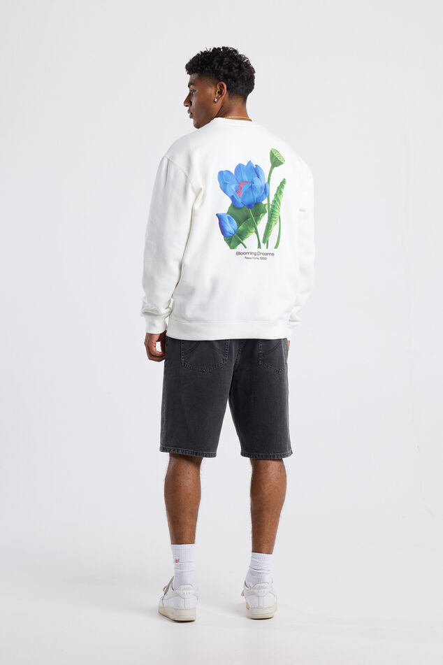 Sef Crew image number 2