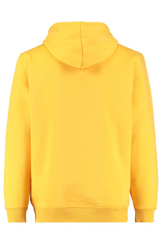 Hoodie Stevy Hoodie image number 2