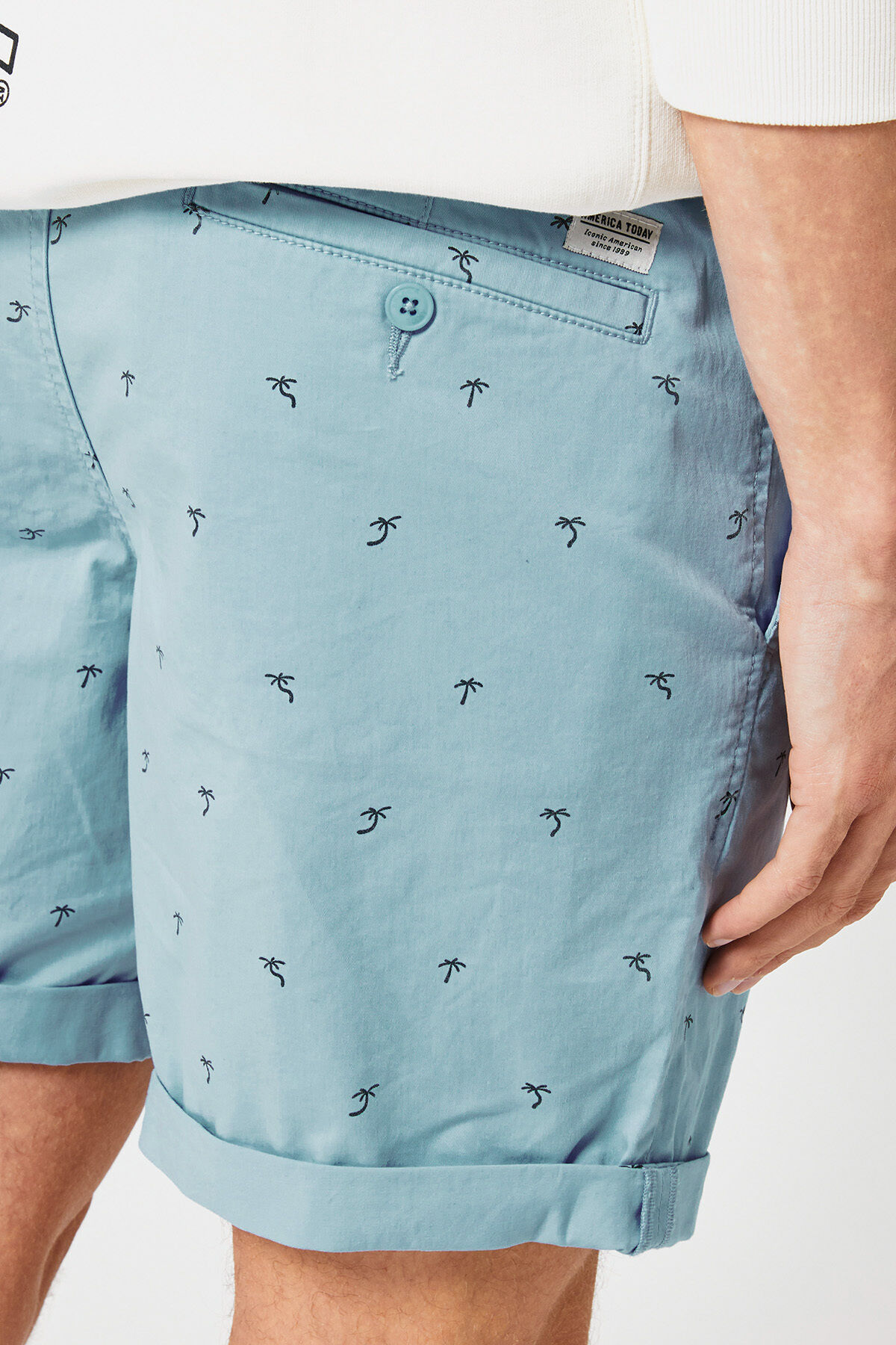 Short Stefan image number 3